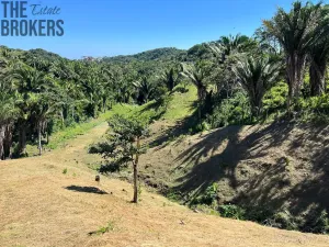 Prodej pozemku, Coxen Hole, Roatán, Honduras, 350 m2