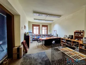 Prodej vícegeneračního domu, Kasejovice, 433 m2