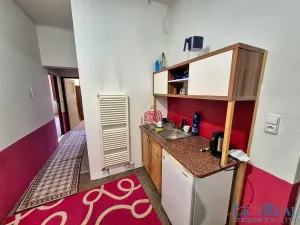 Prodej vícegeneračního domu, Kasejovice, 433 m2