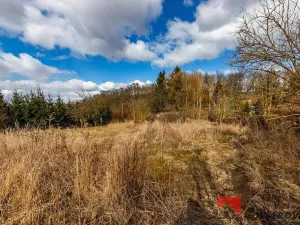 Prodej pozemku pro bydlení, Řepín, 707 m2
