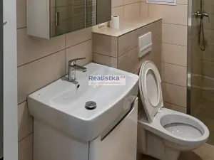 Prodej bytu 1+1, Plzeň, Guldenerova, 48 m2