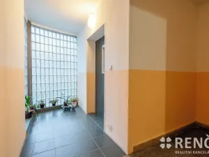 Prodej bytu 3+1, Brno, Krásného, 55 m2