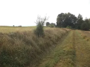 Dražba louky, Horní Pěna, 1083 m2