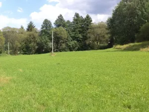 Dražba louky, Chotěvice, 3601 m2
