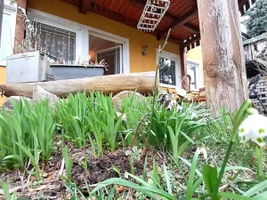 Prodej rodinného domu, Tišice, Hasičská, 150 m2