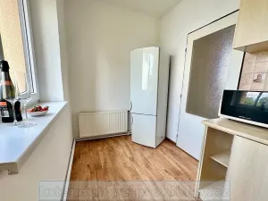 Pronájem bytu 1+1, Praha - Žižkov, Luční, 69 m2