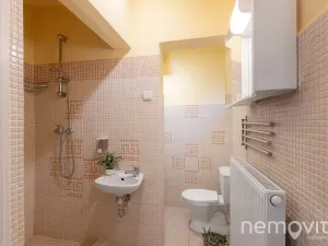 Prodej restaurace, Týnec nad Sázavou, 479 m2