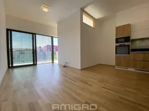 Pronájem bytu 1+kk, Brno, Šumavská, 43 m2