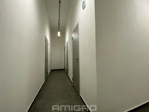 Pronájem bytu 1+kk, Brno, Šumavská, 43 m2