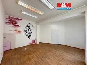 Pronájem obchodního prostoru, Krnov - Pod Bezručovým vrchem, Bezručova, 23 m2