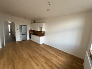 Pronájem bytu 2+kk, Praha - Břevnov, Bělohorská, 51 m2