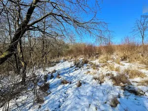 Prodej pozemku pro bydlení, Letovice, 1845 m2