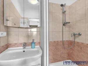 Prodej bytu 4+1, Hradec Králové, Mandysova, 94 m2