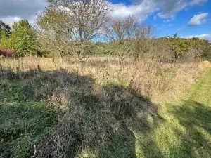 Prodej lesa, Březolupy, 1340 m2