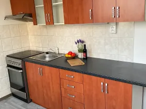 Pronájem bytu 3+1, Česká Lípa, Okružní, 65 m2