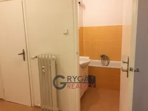 Pronájem bytu 1+1, Praha - Vinohrady, Římská, 42 m2