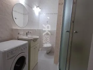 Pronájem bytu 1+1, Ostrava, Lužická, 39 m2