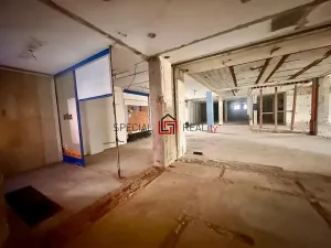 Pronájem skladu, Orlová, Masarykova třída, 200 m2