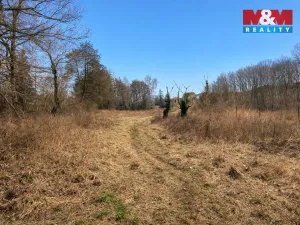 Prodej pozemku pro bydlení, Velemín, 5378 m2