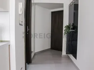 Pronájem bytu 1+kk, Brno, Jakubské náměstí, 32 m2