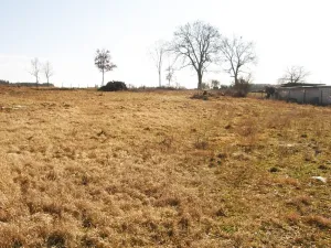 Prodej pozemku pro bydlení, Bor, 1689 m2