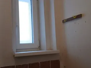 Prodej bytu 2+1, Plzeň - Východní Předměstí, Plzenecká, 56 m2