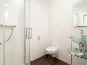 Prodej rodinného domu, Moravany, V Jámách, 382 m2