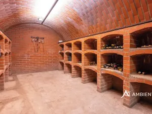 Prodej rodinného domu, Moravany, V Jámách, 382 m2