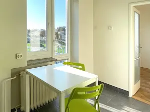 Prodej bytu 1+1, Brno, Křížkovského, 37 m2