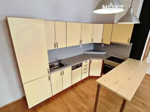 Pronájem bytu 2+1, Černý Důl, 70 m2