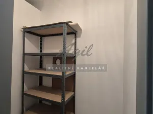 Pronájem bytu 1+kk, Slavkov u Brna, 31 m2