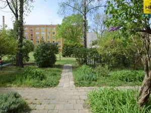 Pronájem bytu 2+1, Olomouc, Božetěchova, 58 m2