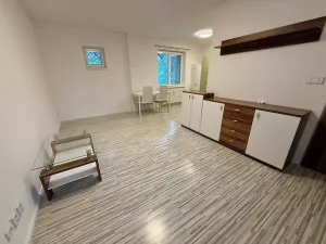 Pronájem bytu 1+kk, Brno, Štěpánská, 32 m2