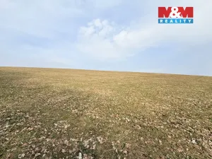 Prodej louky, Lichkov, 7222 m2