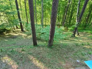 Prodej chaty, Mokrá-Horákov, 48 m2