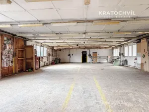 Pronájem výrobních prostor, Praha - Zbraslav, 463 m2
