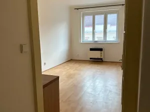 Pronájem bytu 1+kk, Praha - Nusle, V Horkách, 32 m2