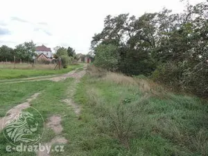 Dražba pozemku, Žatec, 264996 m2