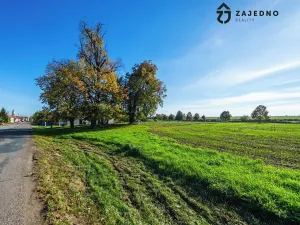 Prodej pozemku pro bydlení, Branišovice, 843 m2