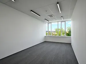 Pronájem kanceláře, Brno, Jana Babáka, 227 m2
