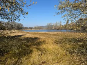 Prodej rodinného domu, Předslav, 100 m2