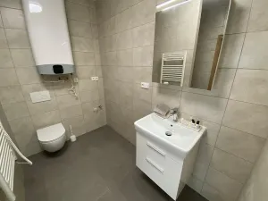 Pronájem bytu 4+kk, Rostěnice-Zvonovice - Rostěnice, 111 m2