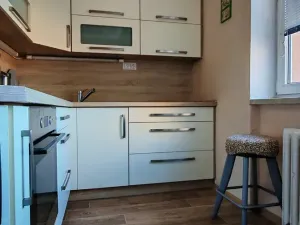 Pronájem bytu 3+1, Český Těšín, Zelená, 64 m2