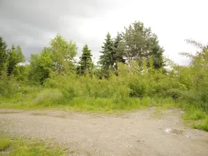 Prodej pozemku pro bydlení, Tábor, Družstevní, 1117 m2