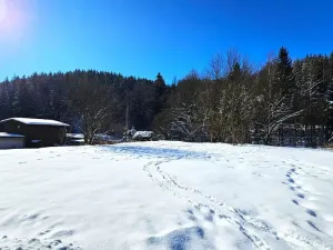 Prodej pozemku, Desná - Desná I, Údolní, 1668 m2