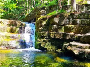 Prodej pozemku, Desná - Desná I, Údolní, 1668 m2