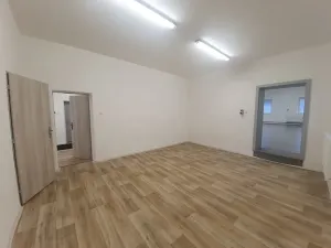 Pronájem výrobních prostor, Bílovice nad Svitavou, Obřanská, 249 m2