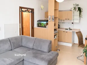 Prodej bytu 2+kk, České Budějovice, J. Bendy, 46 m2