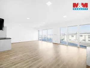 Pronájem bytu 4+kk, Kyšice, 110 m2