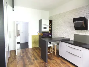 Pronájem bytu 1+kk, Praha - Nusle, Na Veselí, 45 m2